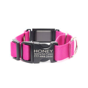 Fi Compatible Nylon Martingale Dog Collar with Quick Release Buckle - Image 11