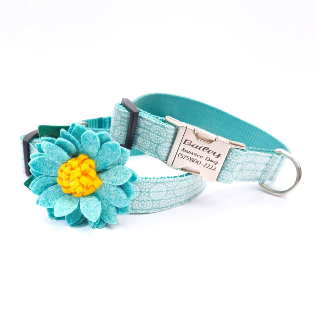 teal dog collar with flower vibes