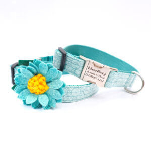 teal dog collar with flower vibes