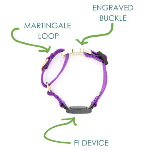 Reflective Nylon Fi Buckle Martingale purple