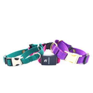 Fi martingale reflective