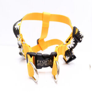 custom step in harness daisy black and white