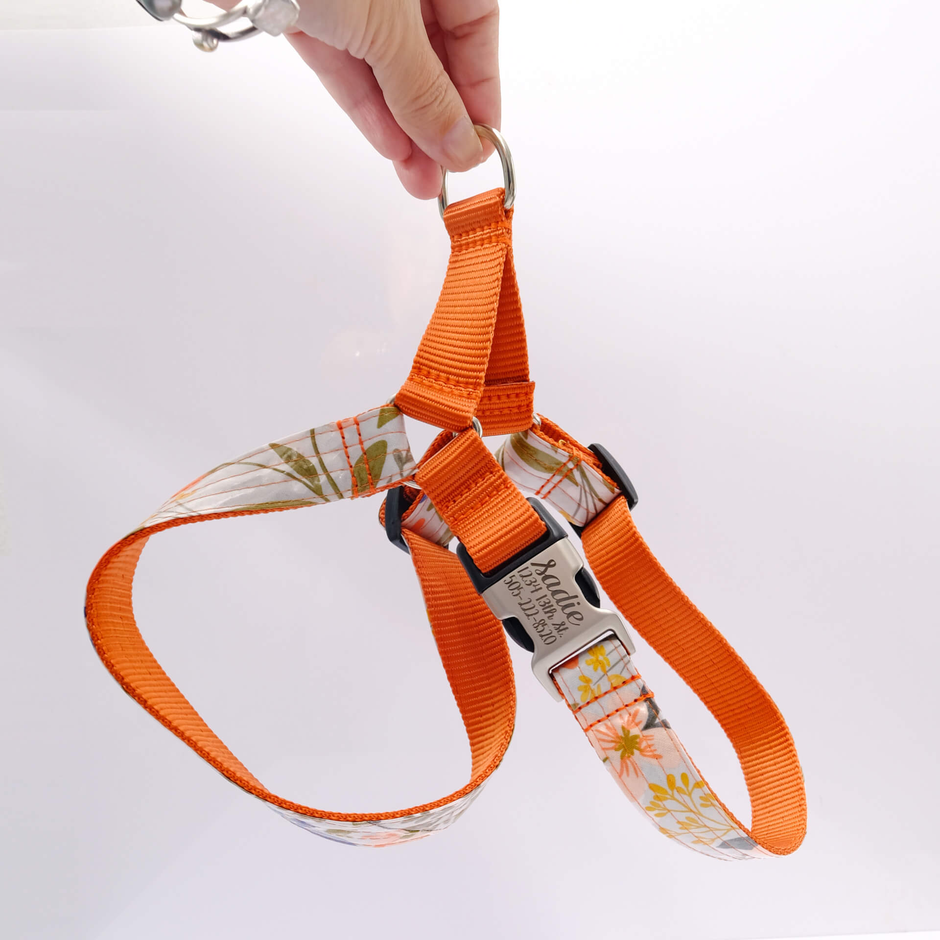 harness floral dog flourish laminated