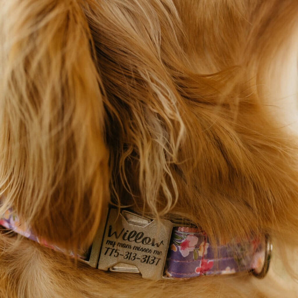 junie close up square