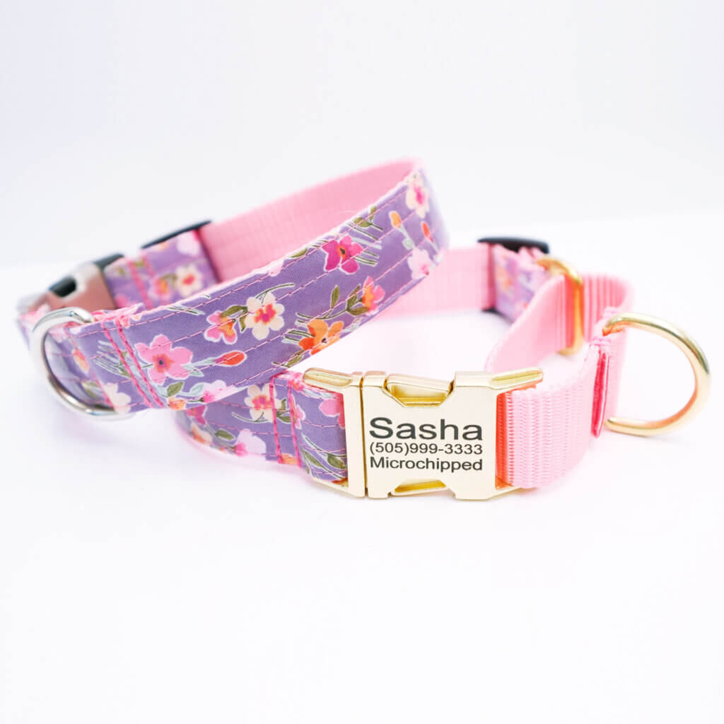 junie purple martinglae dog collar