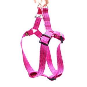 nylon reflective step in harness raspberry