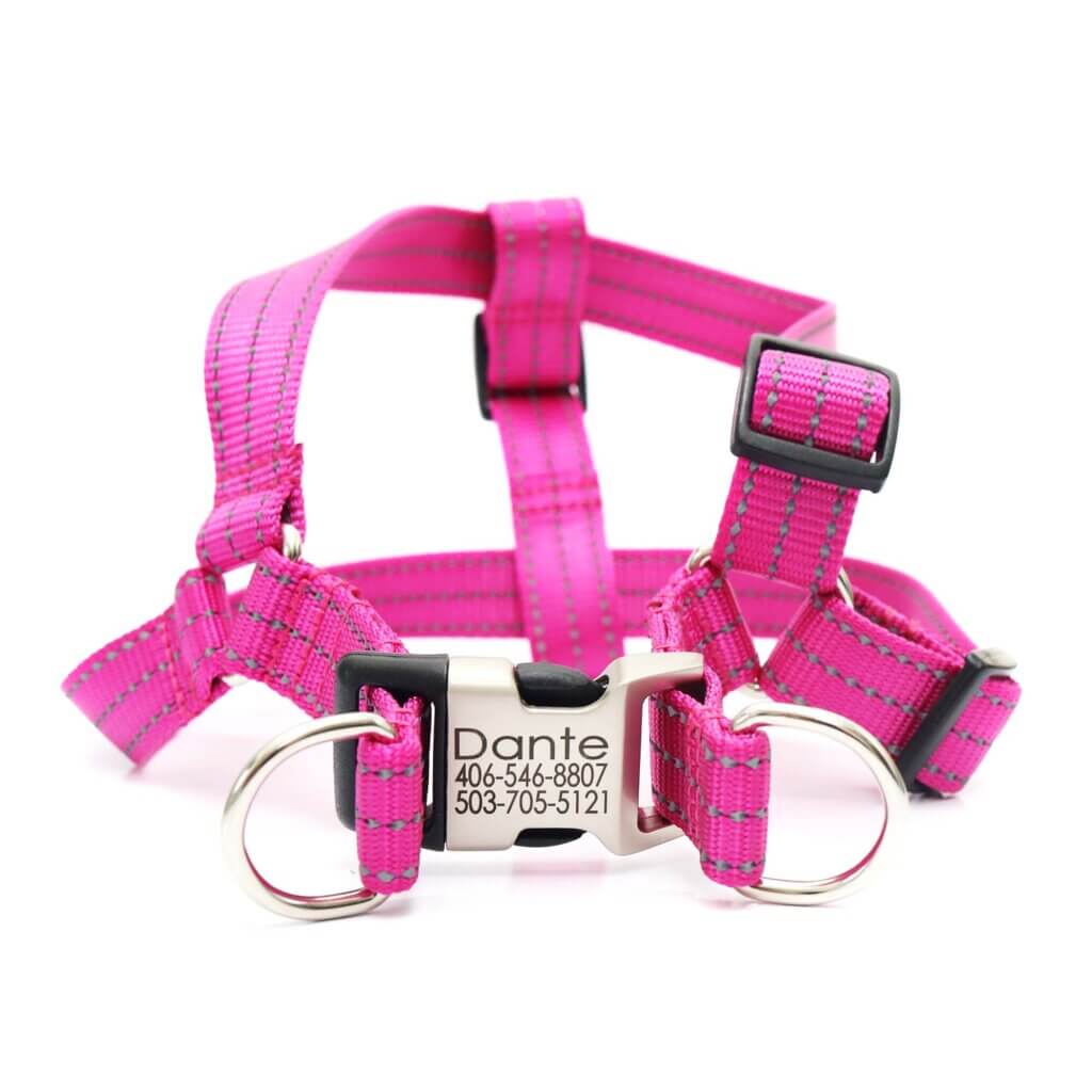 nylon reflective step in harness engraving view
