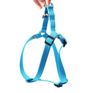 nylon reflective step in harness peacock