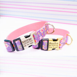 purple laminated dog collar Junie