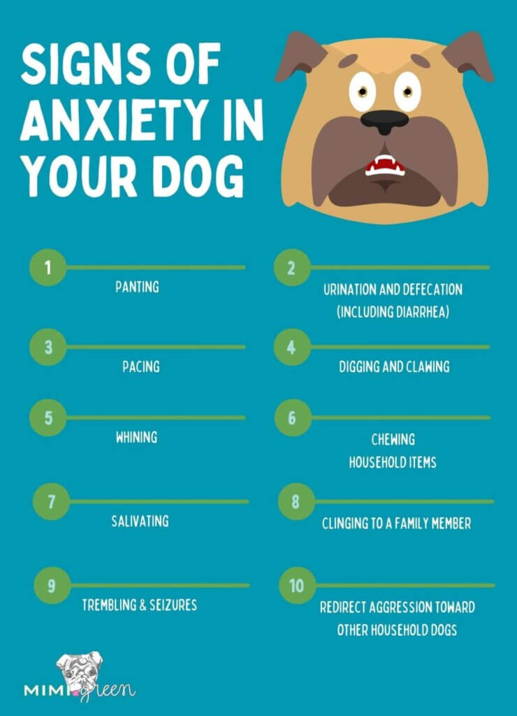 Blog graphic showing the 10 signs of anxiety in a dog