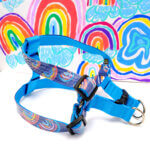 STEP IN Rainbow Dog Harness with Optional Engraved Buckle