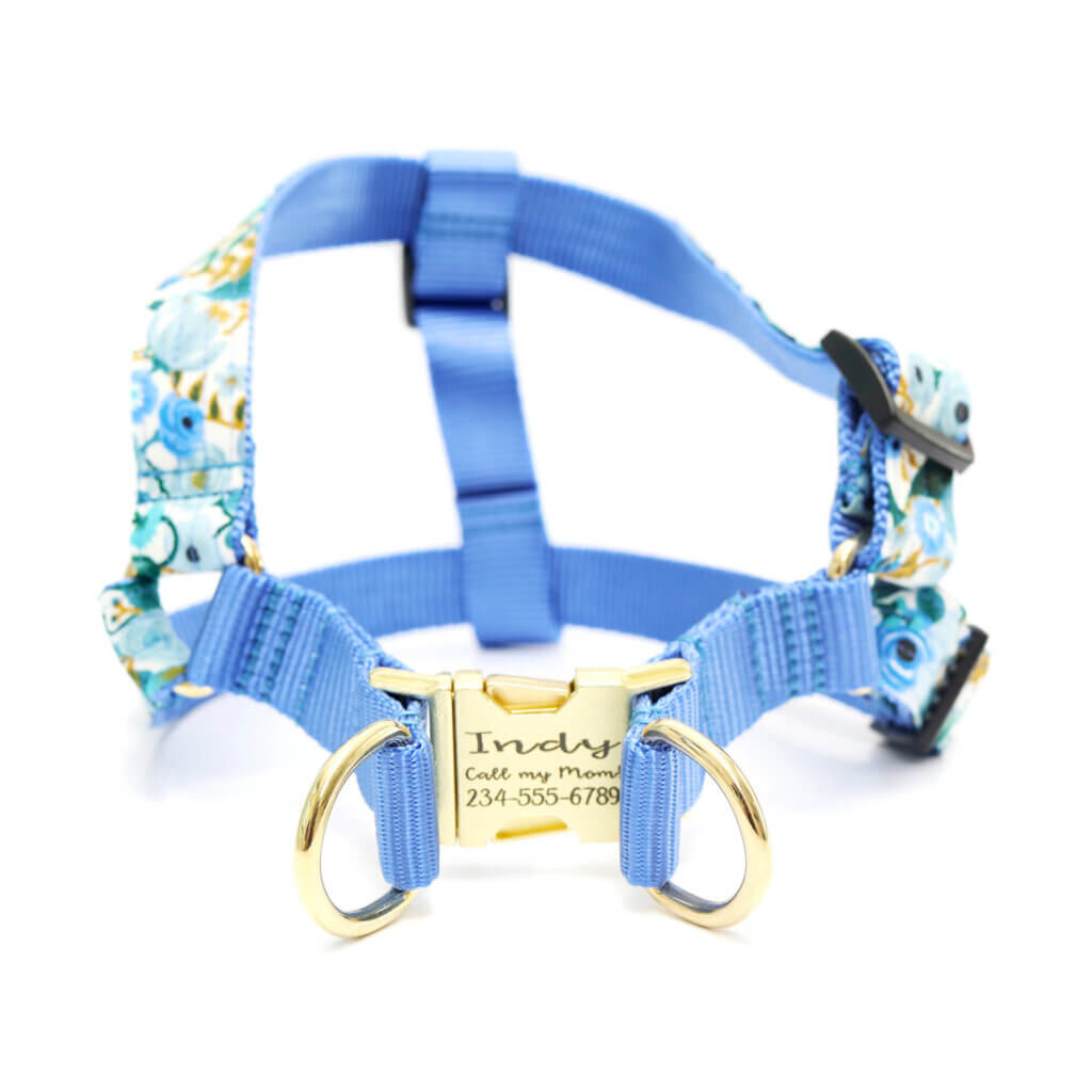 engraved step in harness