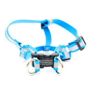 Blue reflective lightweight step in harness