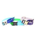 Lightweight Biothane Waterproof Martingale Dog Collar - Two Tone