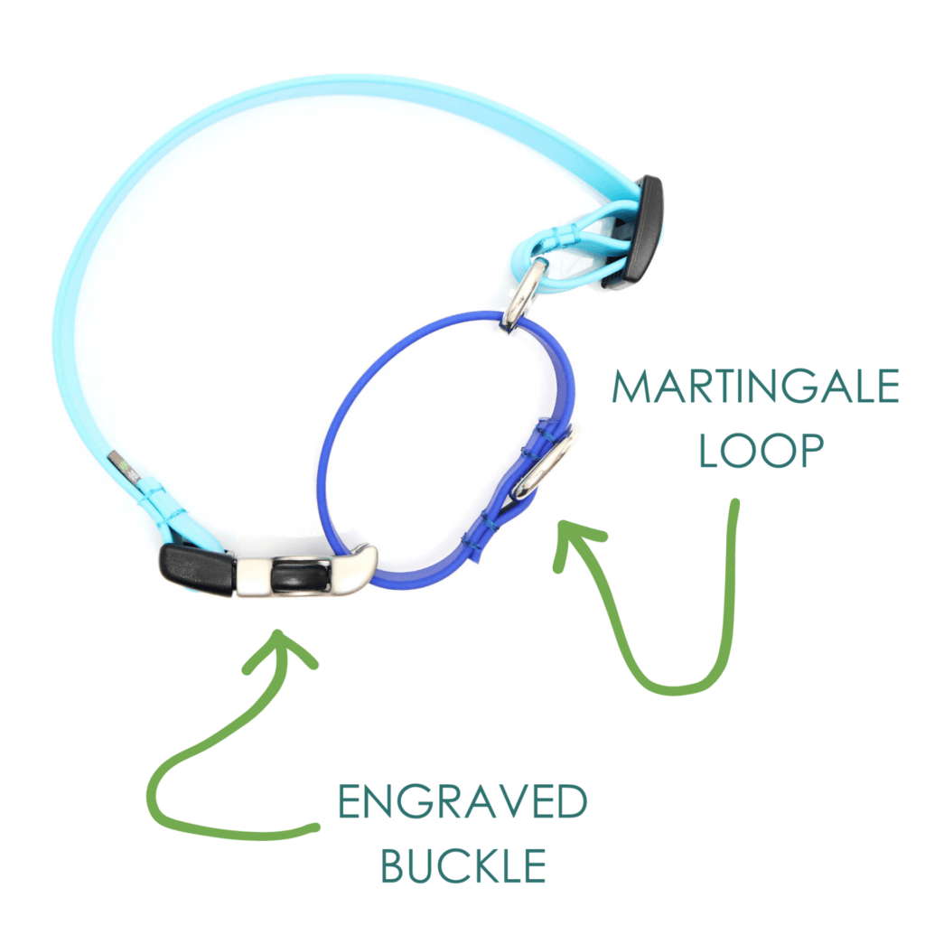 lightweight waterproof two tone buckle martingales