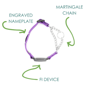 nylon reflective nameplate fi chain martingales chart