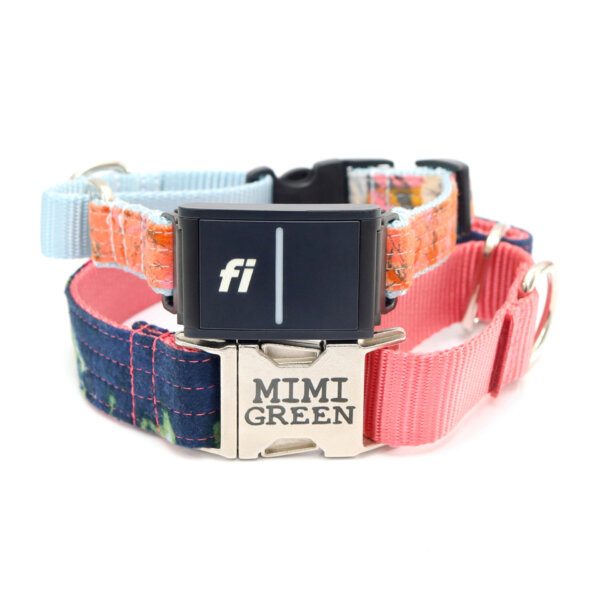 fi flannel buckle martingale collar
