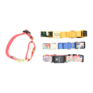 fi canvas buckle marts