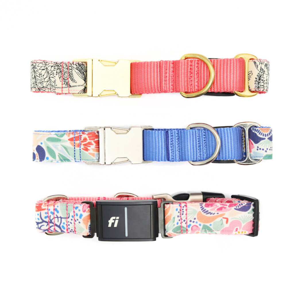 fi canvas martingale buckle flat