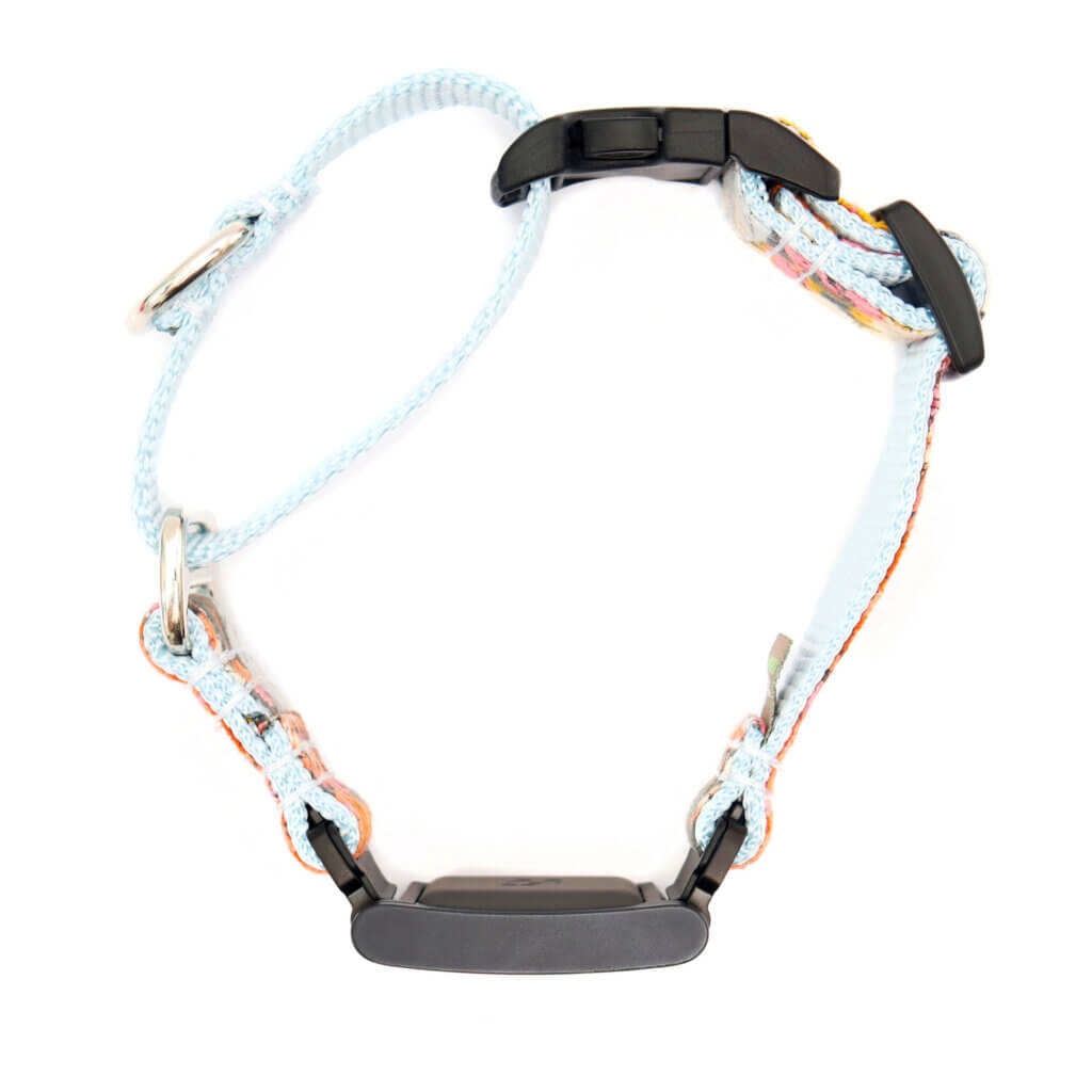 fi flannel buckle fi martingale