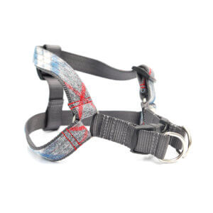 flannel step in harness