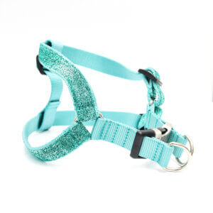 glitter step in harness