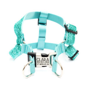 glitter step in harness