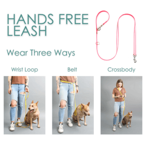 hands free reflective waterproof leash chart