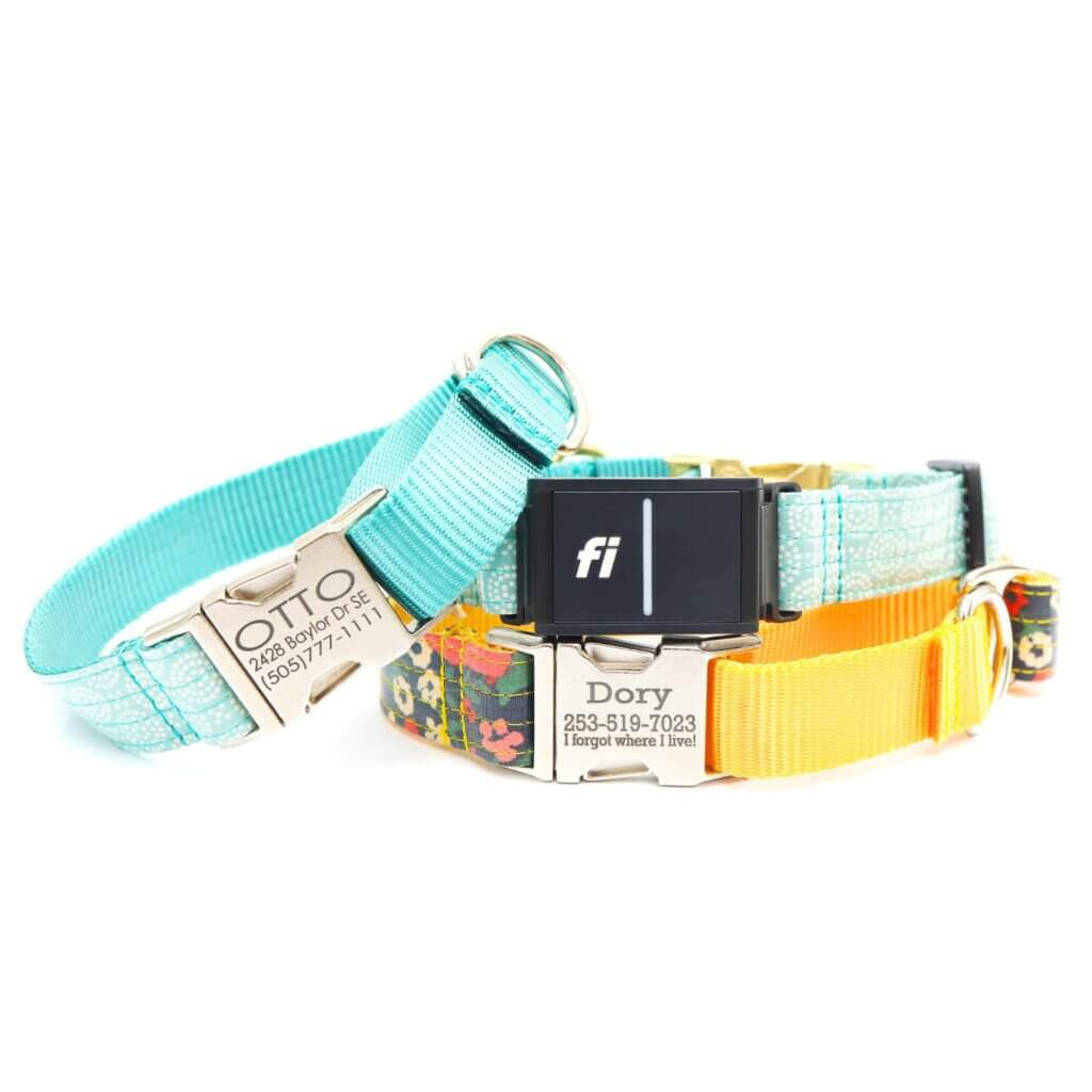 laminate fi buckle martingale