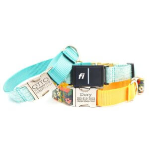 laminate fi buckle martingale