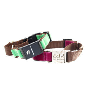 velvet buckle fi martingales