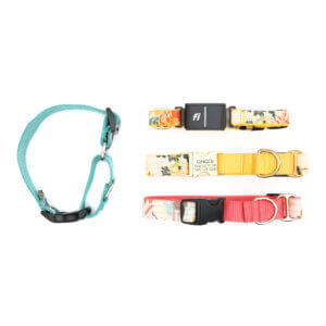 voile buckle fi martingales