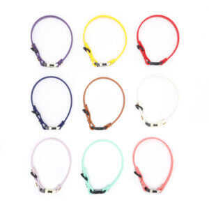 3:8 waterproof puppy collar engraved