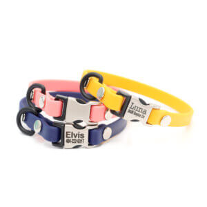 3:8 waterproof puppy collar engraved