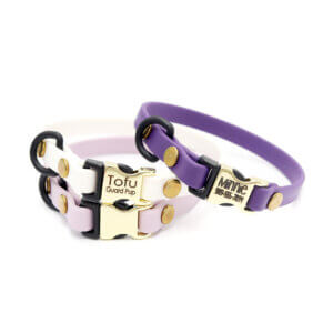 3:8 waterproof puppy collar engraved