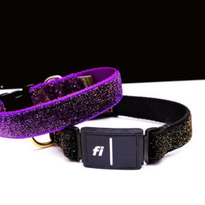 Fi dog collar glitter halloween
