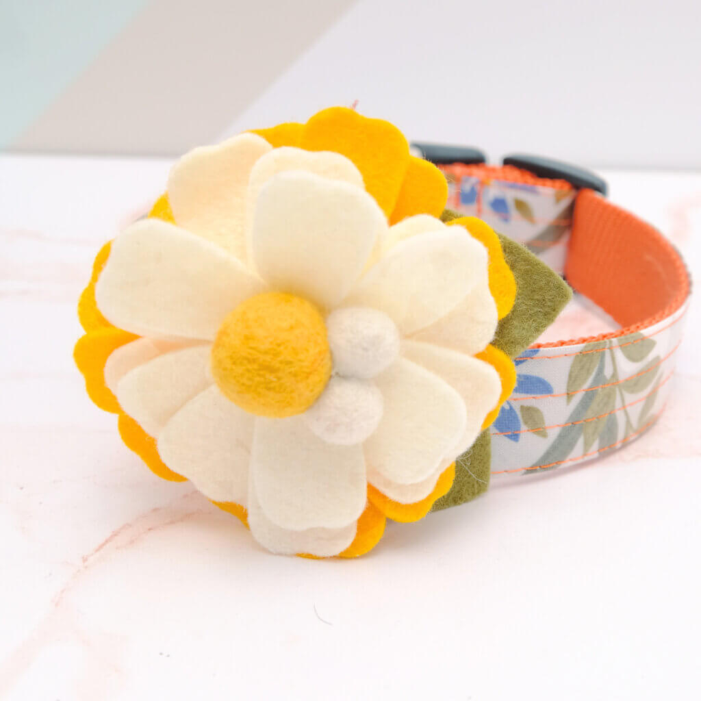 cream flourish dog collar flower cute