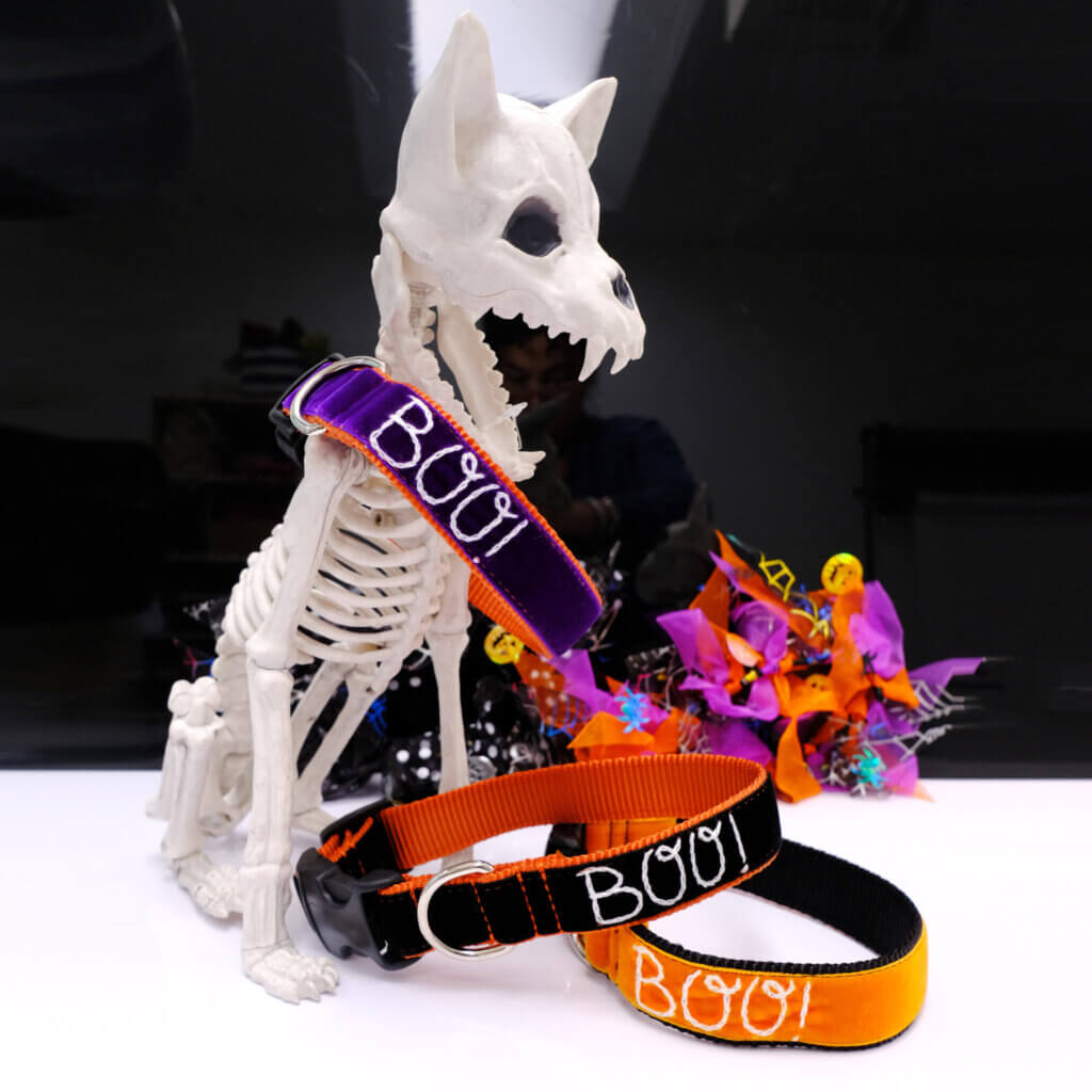 Boo halloween embroidered dog collar