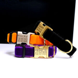 engraved dog collar halloween velvet orange black purple