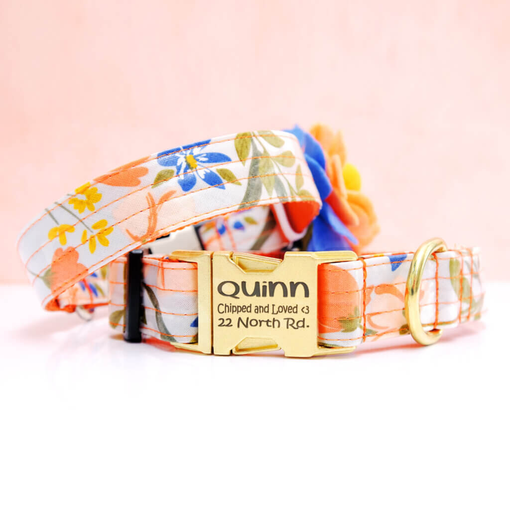 feminine dog collar orange flourish