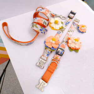 florurish collar and flowers