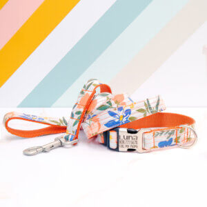 flouish collar leash set
