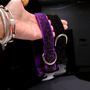 glitter halloween dog collar