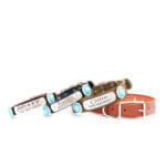 Leather Concho Dog Collar with Engraved Nameplate