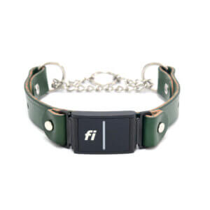 green leather fi martingale w tabs