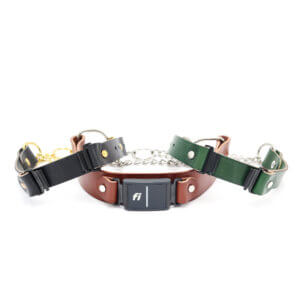 leather fi martingale w tabs