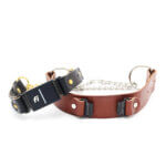 Fi Compatible Martingale - Leather Dog Collar with Tabs