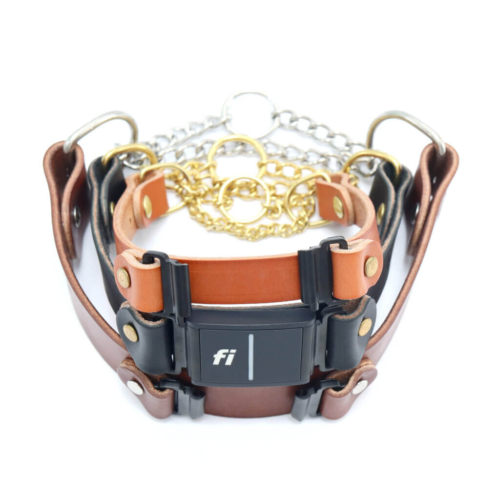 leather fi martingale w tabs stack