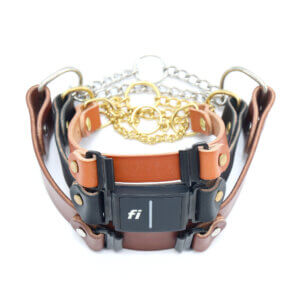 leather fi martingale w tabs stack