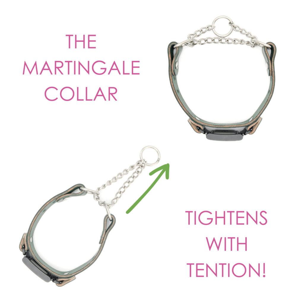 leather fi martingale w tabs